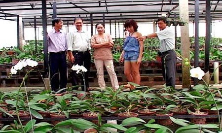 Nhà lưới trồng Lan Hồ Điệp uy tín nhất Việt Nam